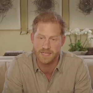 Le prince Harry s'engage au côté de WWF et Greenpeace pour créer un service de streaming respectueux de l'environnement appelé Waterbear le 1er décembre 2020. 