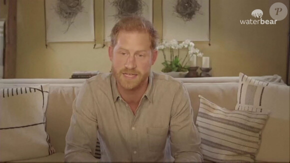 Le prince Harry s'engage au côté de WWF et Greenpeace pour créer un service de streaming respectueux de l'environnement appelé Waterbear le 1er décembre 2020. 