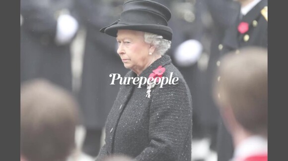 Elizabeth II en deuil : l'épouse du prince Philip se console avec deux jeunes compagnons