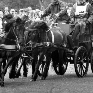 Le prince Philip, duc d'Edimbourg sur un attelage lors de l'exhibition ''Royal Windsor Horse Show'' le 16 mai 1989.