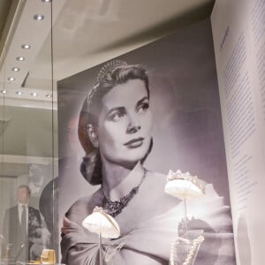 Le prince Albert II de Monaco et le roi Willem-Alexander à l'inauguration de l'exposition "Grace Kelly" à Apeldoorn aux Pays-Bas, 2014.