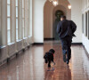 Le president Barack Obama cout avec son chien 'Bo' dans les couloirs de la Maison Blanche a Washington le 15 Mars 2009.