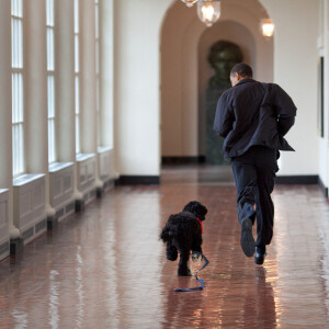 Le president Barack Obama cout avec son chien 'Bo' dans les couloirs de la Maison Blanche a Washington le 15 Mars 2009.