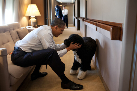 Barack Obama et son chien Bo à bord d'Air Force One en 2011.