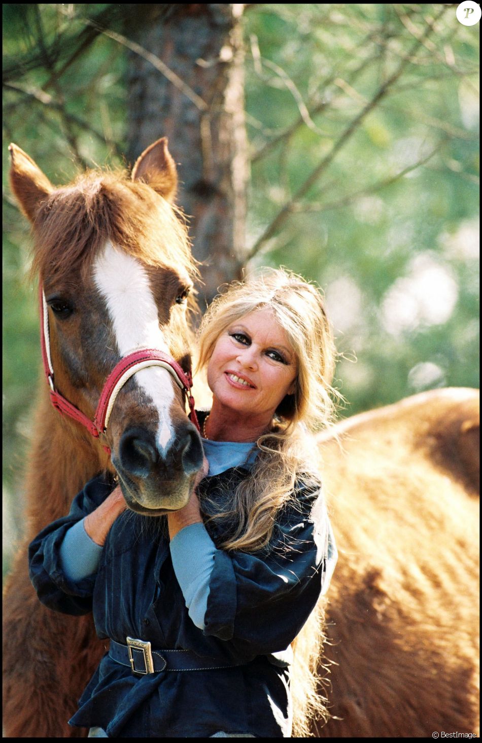 Brigitte Bardot - Archives.