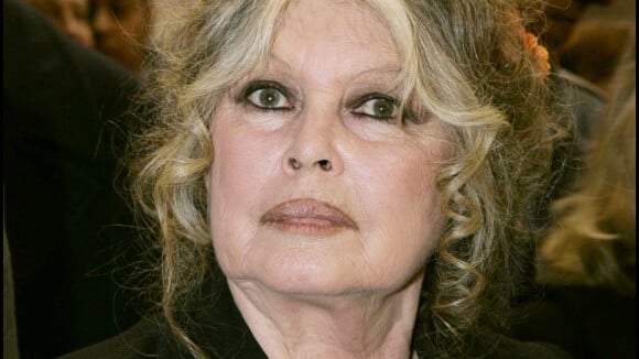 Brigitte Bardot sévèrement condamnée pour des injures contre le patron des chasseurs