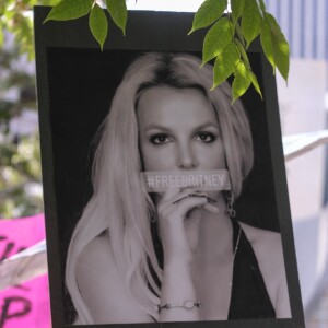 Des supporters de Britney Spears devant le tribunal Stanley Mosk à Los Angeles, le 14 juillet 2021 