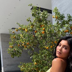 Travis Scott infidèle à Kylie Jenner ? Dita Istrefi balance sur Instagram.