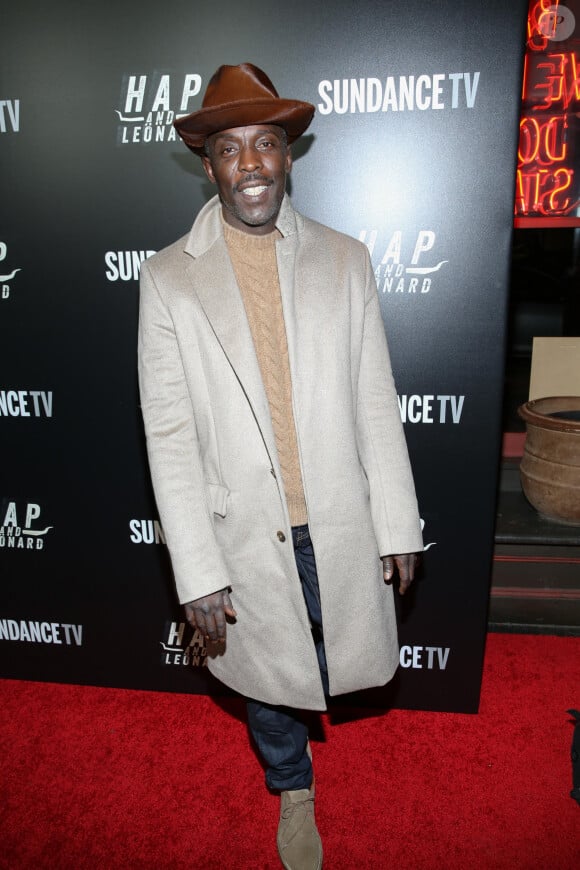 Michael K. Williams lors de la première et de la soirée de lancement de la série "Hap And Leonard" à New York, le 25 février 2016.