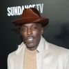 Mort de Michael K. Williams (The Wire) : le corps de l'acteur retrouvé inanimé chez lui