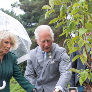 Le prince Charles, prince de Galles, et Camilla Parker Bowles, duchesse de Cornouailles, célèbrent le 350 ème anniversaire du jardin botanique royal à Edimbourg, le 1er octobre 2021.