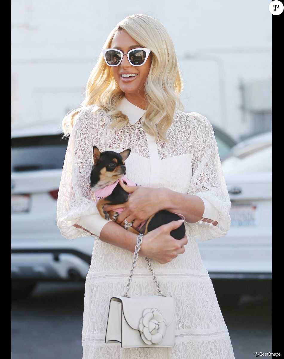 Journée shopping pour Paris Hilton et son chien dans le quartier de Beverly Hills à Los Angeles, le 5 novembre 2021.