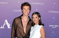 Camila Cabello et Shawn Mendes : Rupture surprise après 2 ans d'amour