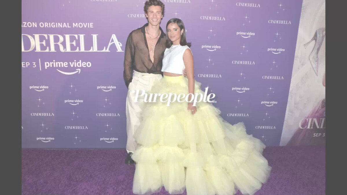 Vidéo Camila Cabello et Shawn Mendes Rupture surprise après 2 ans d