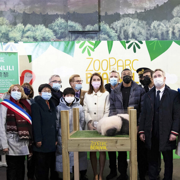 Photo de famille avec madame Yu Jinsong, chargée d'affaires, la marraine Zhang Jiaqi, le parrain Kylian Mbappé lors de la cérémonie des noms pour les deux bébés pandas nés en août dernier dans le parc zoologique "Zooparc de Beauval" en présence du parrain Kylian Mbappé le 18 novembre 2021. Les jumelles pandas s'appellent Fleur de Coton et Petite Neige (Yuandudu et Huanlili) © Zooparc de Beauval via Bestimage