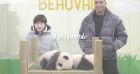 Kylian Mbappé avec des bébés pandas : photos de la rencontre improbable (et adorable!)