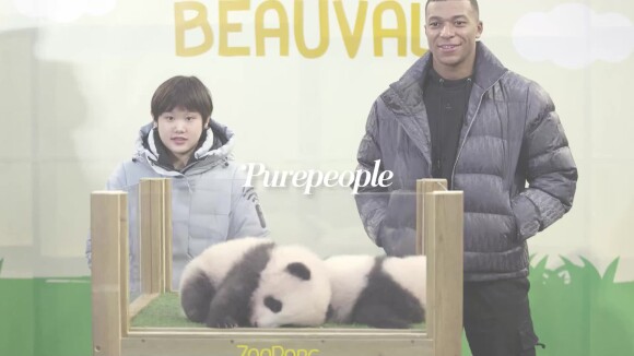 Kylian Mbappé avec des bébés pandas : photos de la rencontre improbable (et adorable!)