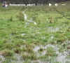 La ferme de Lola et Florian (L'amour est dans le pré) a été touchée par des inondations - Instagram
