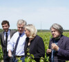 Jean-Paul Garraud, candidat RN pour l'occitanie, Marine Le Pen, présidente du Rassemblement National, Gilbert Collard lors d'une opération de soutien au candidat RN pour l'Occitanie à Saint-Gilles dans un domaine viticole le 20 mai 2021.