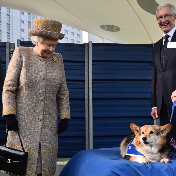 La reine Elizabeth II heureuse de voir un corgi lors de sa visite au refuge "Battersea Dogs And Cats Home" à Londres, le 17 mars 2015.