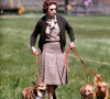 La reine Elizabeth II promenant ses chiens en mai 1980 à Windsor.