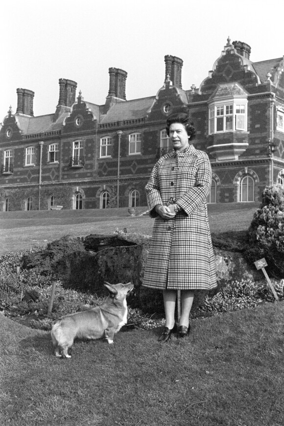 La reine Elizabeth II avec l'un de ses corgis à Sandringham House dans le Norfolk en 1982, portrait à l'occasion du 30e anniversaire de son accession au trône.