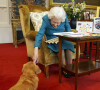 La reine Elisabeth II est rejointe par l'un de ses chiens, un Dorgi appelé Candy, alors qu'elle regarde une exposition de souvenirs de ses jubilés d'or et de platine dans la salle Oak du château de Windsor.