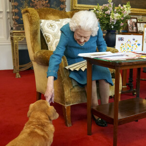 La reine Elisabeth II est rejointe par l'un de ses chiens, un Dorgi appelé Candy, alors qu'elle regarde une exposition de souvenirs de ses jubilés d'or et de platine dans la salle Oak du château de Windsor.