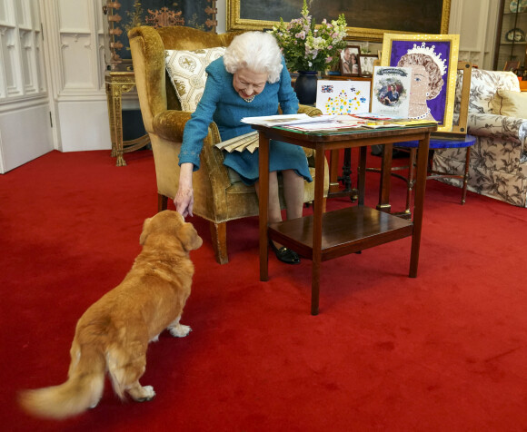 La reine Elisabeth II est rejointe par l'un de ses chiens, un Dorgi appelé Candy, alors qu'elle regarde une exposition de souvenirs de ses jubilés d'or et de platine dans la salle Oak du château de Windsor.