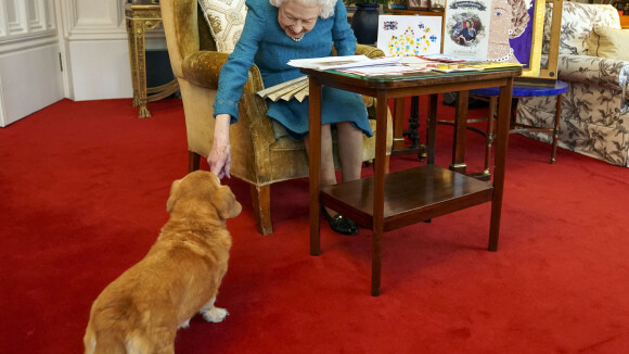 Elizabeth II surprenante : la reine se lance dans un business inattendu !