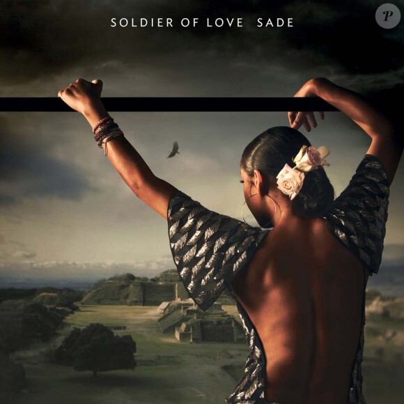 La pochette de l'album, Soldier of Love, disponible dès le 8 février 2010 !