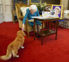 La reine Elisabeth II est rejointe par l'un de ses chiens, un Dorgi appelé Candy, alors qu'elle regarde une exposition de souvenirs de ses jubilés d'or et de platine dans la salle Oak du château de Windsor. Février 2022.