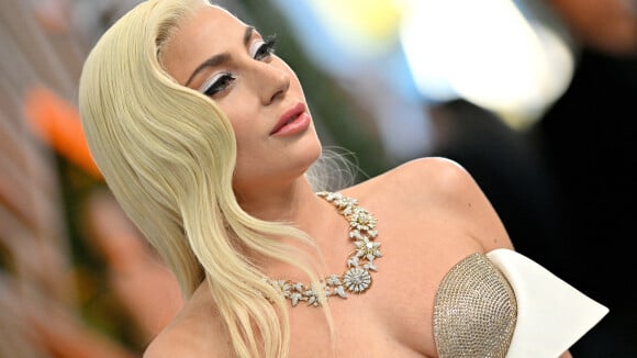 SAG Awards : Lady Gaga, Venus Williams et Salma Hayek... Les tenues les plus folles en images