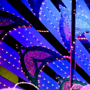 Exclusif - Prix spécial - No Web - Céline Dion et Pepe Munoz se sont rendus au Moulin Rouge pour applaudir Nora une de leurs amies qui dansait pour la dernière fois sur la scène du célèbre cabaret à Paris le 24 janvier 2019.  Exclusive - For Germany call for price - No Web No Blog - Celine Dion and Pepe Munoz went to the Moulin Rouge to cheer on Nora, one of their friends who was dancing for the last time on the stage of the famous cabaret in Paris, France on January 24, 2019. 