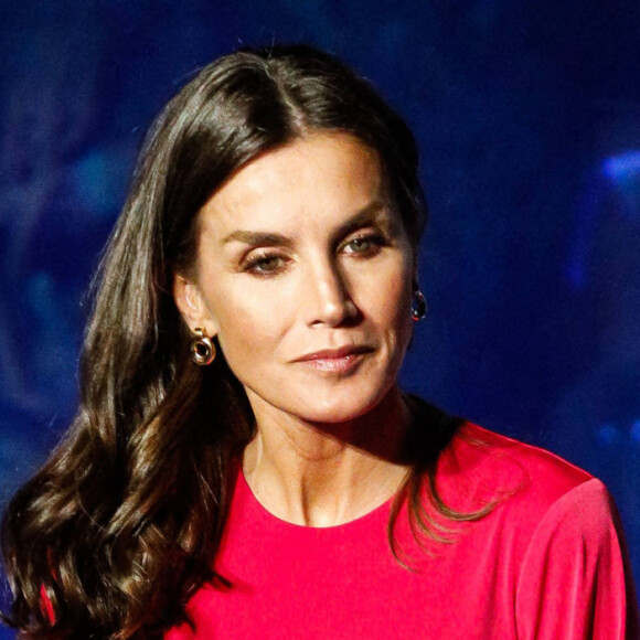 La reine Letizia d'Espagne préside la commémoration de la Journée mondiale de la Croix-Rouge et du Croissant-Rouge à l'Oceanográfic à Valence, Espagne, le 10 mai 2022. 