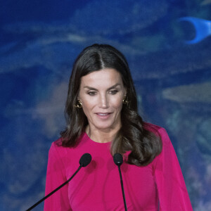 La reine Letizia d'Espagne préside la commémoration de la Journée mondiale de la Croix-Rouge et du Croissant-Rouge à l'Oceanográfic à Valence, Espagne, le 10 mai 2022. 