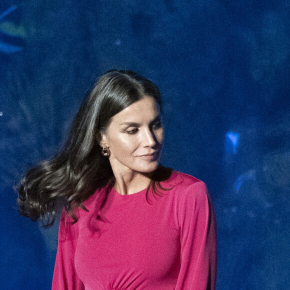 La reine Letizia d'Espagne préside la commémoration de la Journée mondiale de la Croix-Rouge et du Croissant-Rouge à l'Oceanográfic à Valence, Espagne, le 10 mai 2022. 