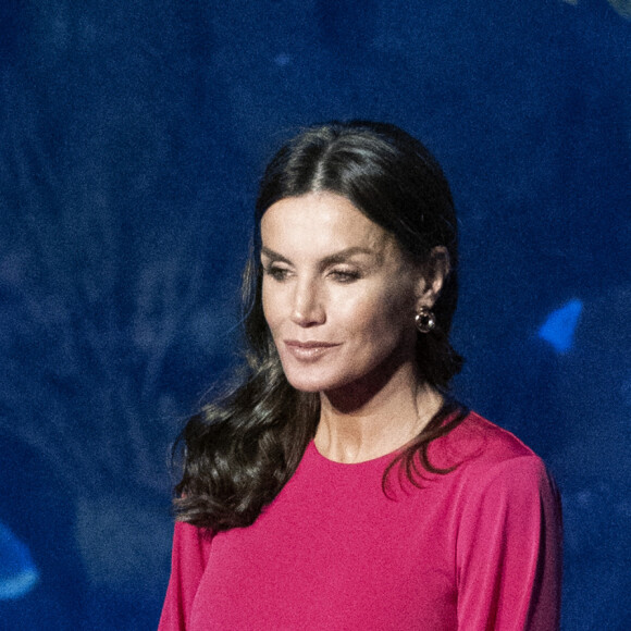 La reine Letizia d'Espagne préside la commémoration de la Journée mondiale de la Croix-Rouge et du Croissant-Rouge à l'Oceanográfic à Valence, Espagne, le 10 mai 2022. 