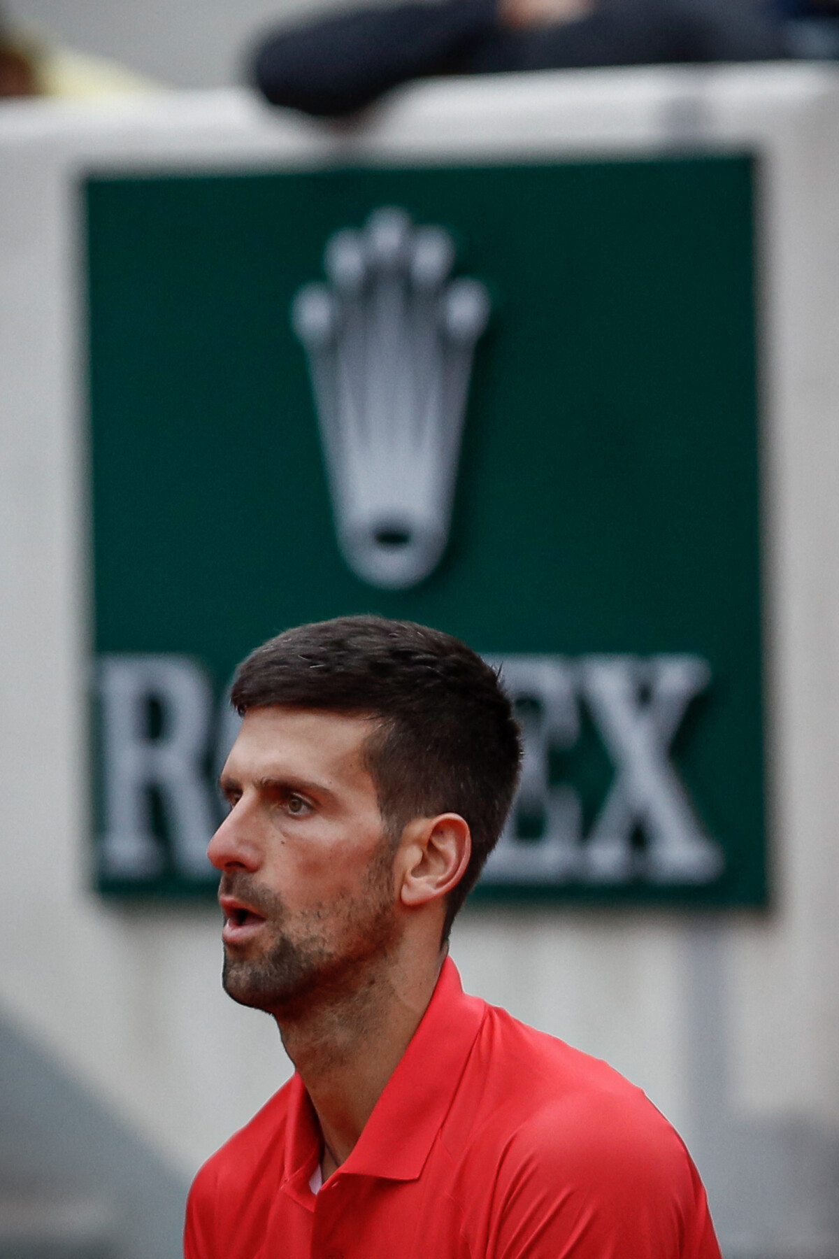 Palmarès Du Simple Messieurs Des Internationaux De France Photo : Novak Djokovic lors du deuxième tour simple messieurs des