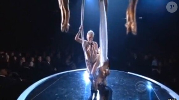 Pink a livré un nouveau numéro de haute voltige lors de la cérémonie des Grammy Awards 2010, le 31 janvier...