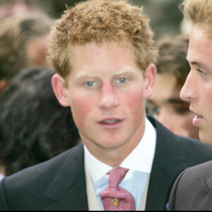 Le Prince Harry et le Prince William en 2005. 