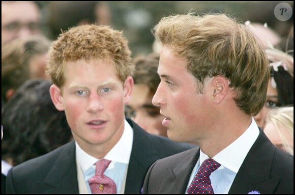 Le Prince Harry et le Prince William en 2005. 