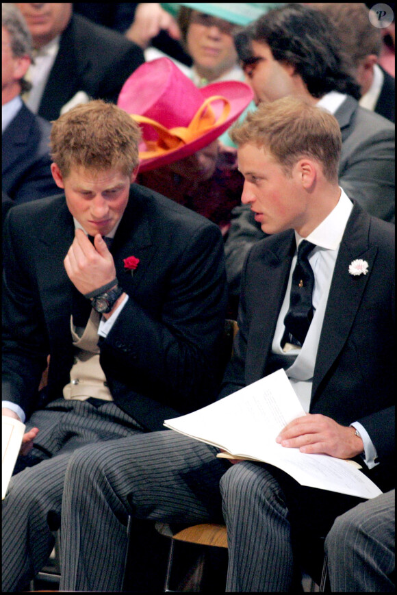 Le Prince Harry et le Prince William en 2006.