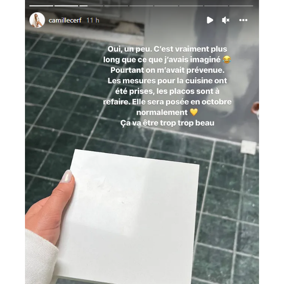 Camille Cerf dévoile des images de sa nouvelle maison avec Théo Fleury - Instagram