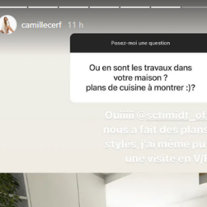 Camille Cerf dévoile des images de sa nouvelle maison avec Théo Fleury - Instagram