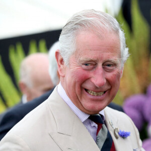 Le prince Charles au Sandringham Flower Show. Le 26 juillet 2017.