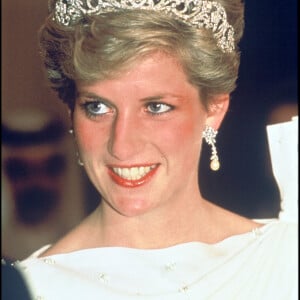 Diana, princesse de Galles - Visite aux Emirats Arabes Unis