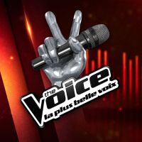 The Voice : 5 coachs pour la saison 12 ! Un come-back et deux nouveaux jurés
