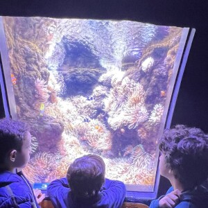 Léa Salamé de sortie avec ses enfants à l'Aquarium de Paris