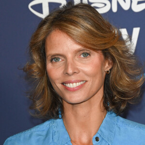 Sylvie Tellier - Avant-première du film "Pinocchio" au Grand Rex à Paris. © Coadic Guirec/Bestimage